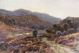 By Broomy Water (barevné lito) od Ernest William Haslehust