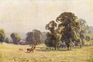 Cobham Park (barevné lito) od Ernest William Haslehust
