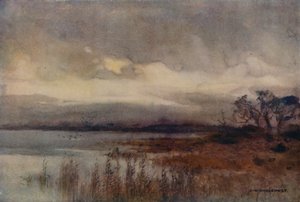 Hickling Broad (barevné lito) od Ernest William Haslehust