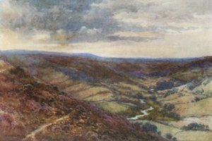 Moors near Hackness (barva litho) od Ernest William Haslehust
