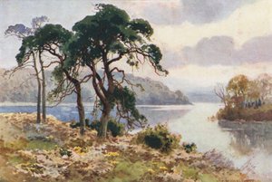 Virginia Water (barva lito) od Ernest William Haslehust