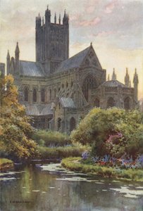 Katedrála ve Wellsu z pramenů (barevné lito) od Ernest William Haslehust
