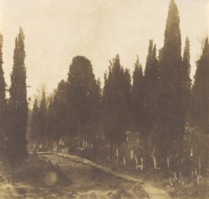 Turecko: Hřbitov ve Scutari, 1852 (foto) od Ernest de Caranza