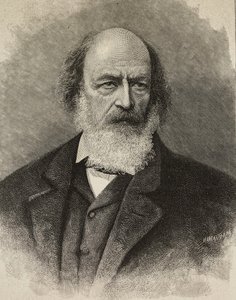 Portrét Alfreda Tennysona (1809-1892), britského básníka, rytina Ernesta Mancatroppy z fotografie Barraud, z L