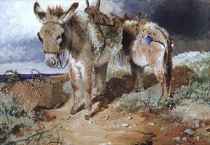 Osli, 1855