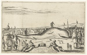 Pobřežní velryba na pláži v Noordwijk, 1614