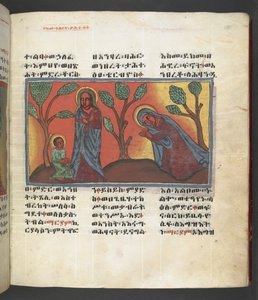 Nebo. 607 f174r, Scéna ze života Panny Marie, z 