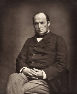 Émile Deshayes de Marcère francouzský politik, 1828-1918, c. 1876. od Etienne Carjat