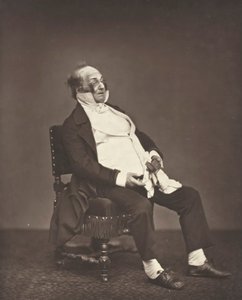 Henri Monnier, c. 1876. od Etienne Carjat