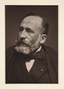 Portrét Pierra Puvis de Chavannes (1824-1898) od Etienne Carjat