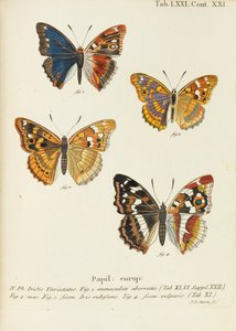 Motýli Motýli, 1777-1794. od Eugen Johann Christoph Esper