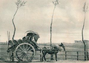 Přepravce vína v Campagna, Řím, Itálie, 1927 od Eugen Poppel