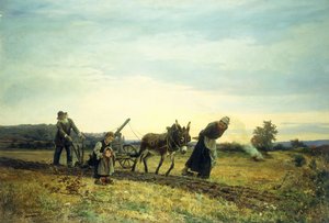 Orat pole, 1877
