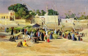 Reed Sellers na Nilu,