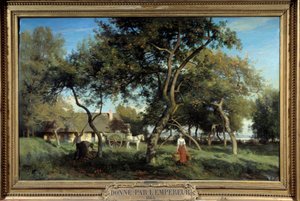 Sbírání jablek v Normandii v roce 1865. Obraz Eugene Lavieille (1820-1889)