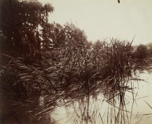  od Eugène Atget