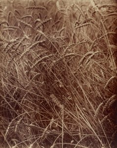  od Eugène Atget