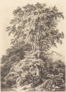 Bukový háj, 1840. od Eugene Bléry