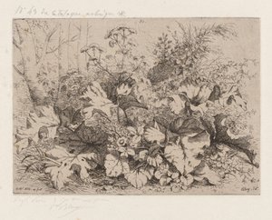Lopuch v květu, 1858. od Eugene Bléry