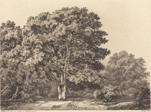Vchod do lesa, 1840. od Eugene Bléry