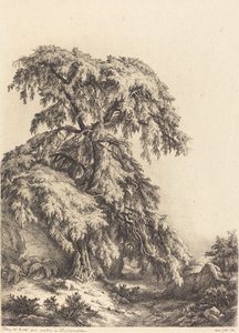 Jalovec, 1840.