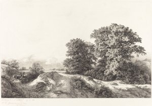 Duby ve Vaux de Cernay od Eugene Bléry