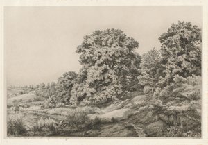 Duby u rybníka, 1852.