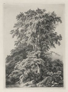 Studie nakreslené a vyryté podle přírody: Pláž, Fontainbleau..., 1840. od Eugene Bléry