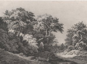 The Edge of the Woods, poblíž Rambouillet, 1860. od Eugene Bléry