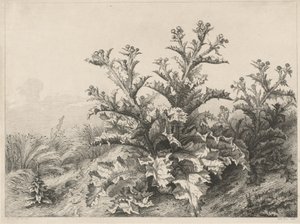 Bodlák velký (Le Grand Chardon) od Eugene Bléry