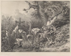 Vodní dok a ostružiní u stavidla, 1843. od Eugene Bléry