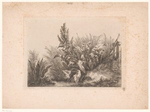 Waterzuring en riet aan de oever Vodní trpělivost u malého ventilu Studie nakreslené a vyryté z přírody (...) (název série) od Eugene Bléry