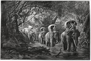 Cestou do lesa putuje výprava na hřbetě slona. Rytina Eugena Burnanda pro ilustraci příběhu „Cesta v Horním Laosu“ z roku 1880 od Dr. P. Neise. Publikováno v Le Tour du monde, nouveau journal des voyages, 2. semestr 18 od Eugene Burnand