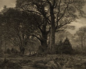Les Fontainbleau