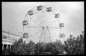 Ruské kolo, Coney Island, 1910 (dusičnan negativní)