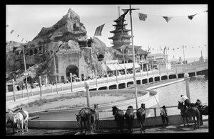 Pohled na Coney Island, 1909 (dusičnan negativní)