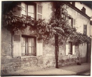 Glycin (Wisteria), Ch?tillon od Eugène Atget
