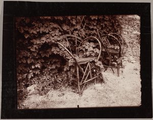 Chmel od Eugène Atget