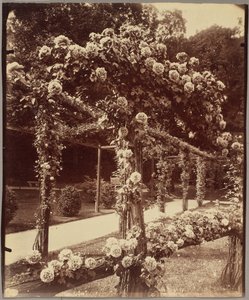 [Jardin de Bagatelle] od Eugène Atget