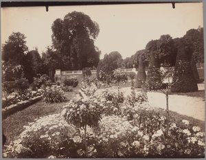 Saint-Cloud od Eugène Atget