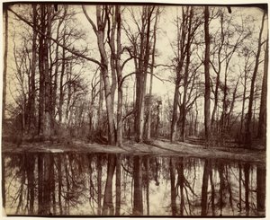 Saint-Cloud od Eugène Atget