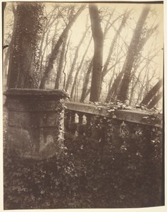 Park Saint-Cloud, Paříž od Eugène Atget