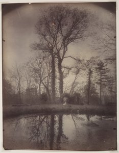 The Park at Sceaux [duben 1925, 7:00] od Eugène Atget