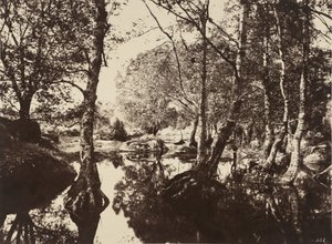 Belle-Croix, 60. léta 19. století. od Eugène Cuvelier