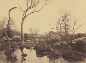Belle Croix, asi 1858 (foto) od Eugène Cuvelier