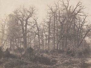 Křižovatka trnu od Eugène Cuvelier