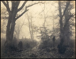 Fontainebleau. Forest v Barbizonu, cca 1860.