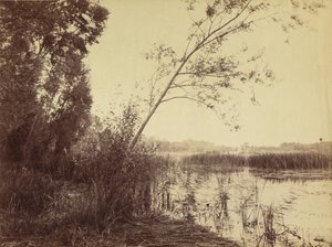 Marais de Fampoux, počátek 60. let 19. století (foto) od Eugène Cuvelier