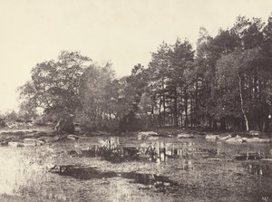 Marsh na Piat Belle-Croix Plateau, c. 1863. od Eugène Cuvelier