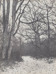 Cesta v lese, 1860-1863.